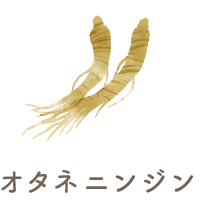 オタネニンジン