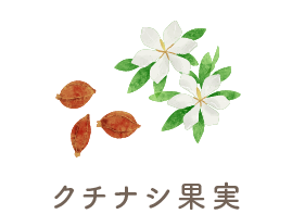 クチナシ果実