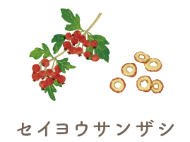 セイヨウサンザシ