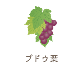 ブドウ葉